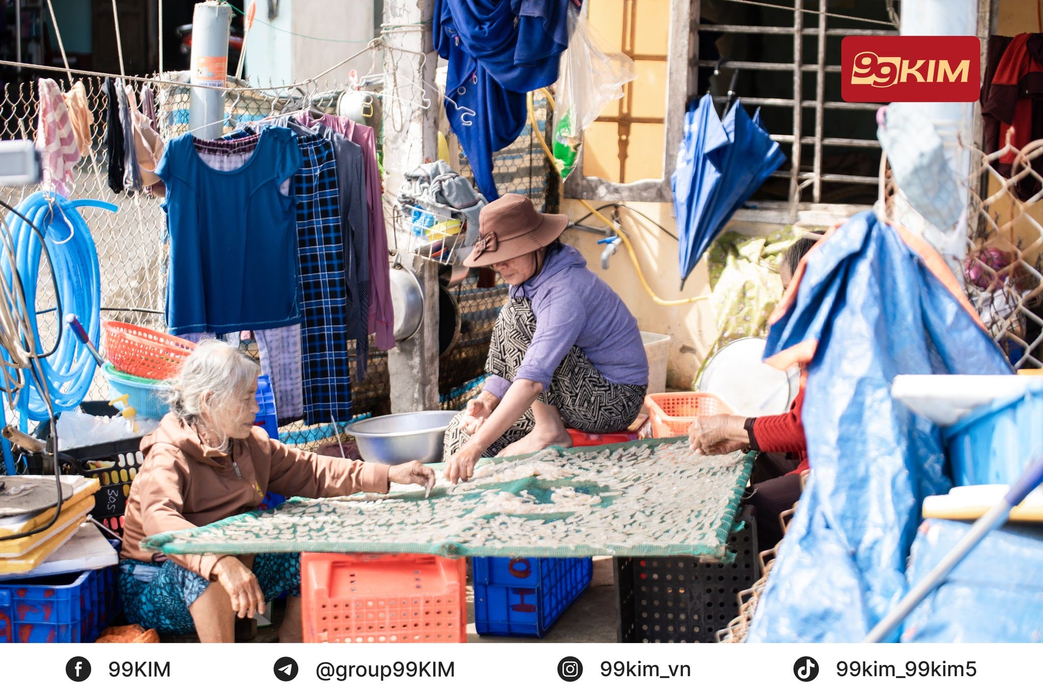 99KIM Hoạt Động Biển Đảo